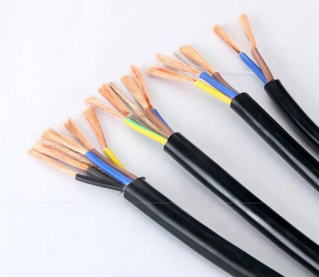 常见检测项目及检测的目的是什么？